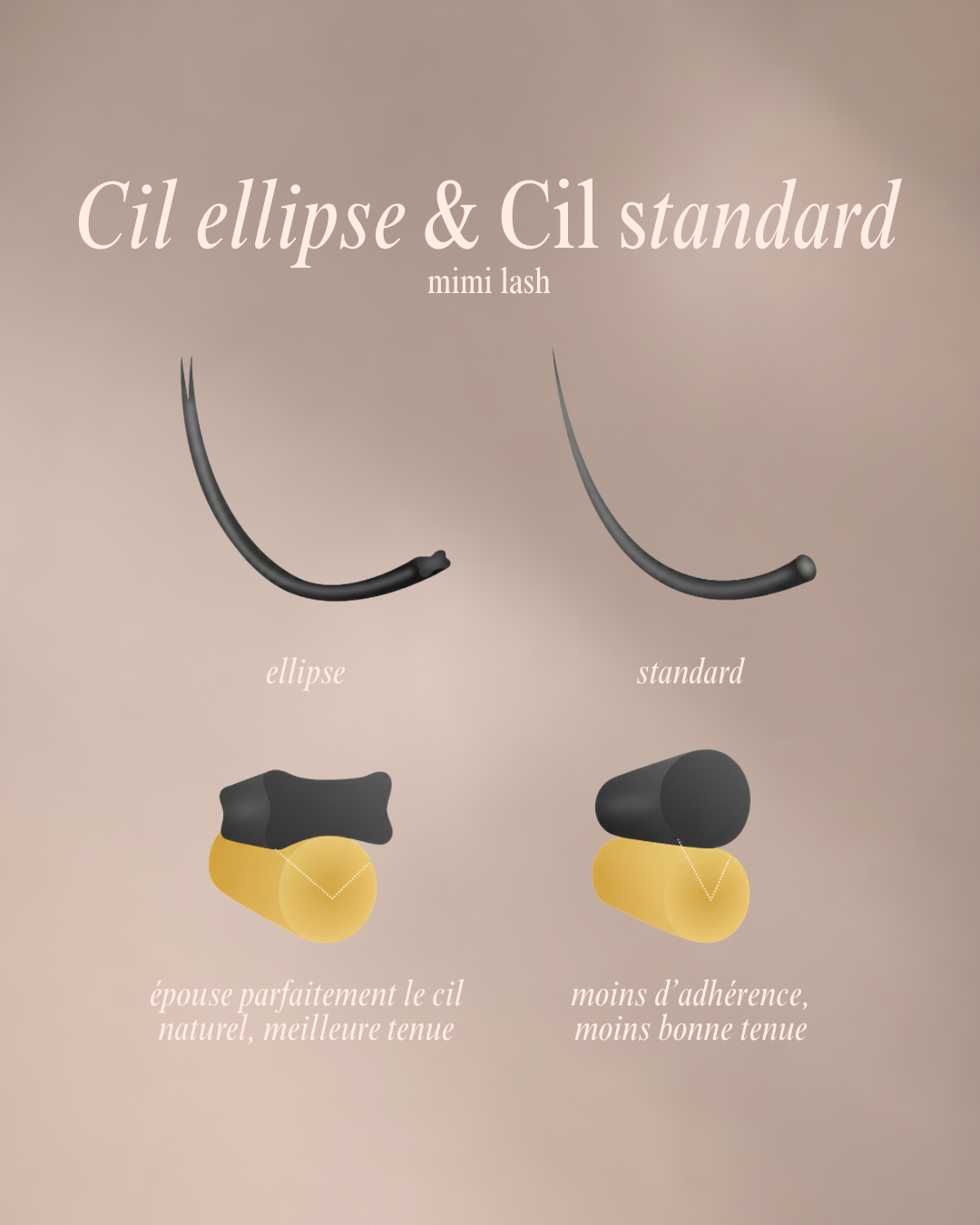 Cils ellipse flat Lash pour extensions de cils Mimi Lash